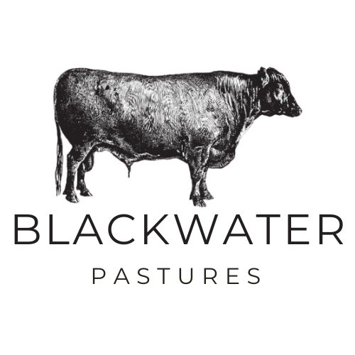 Blackwater Pastures logo mark